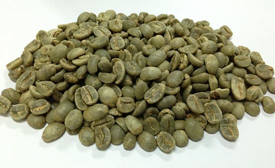 Robusta coffee beans of Vietnam
